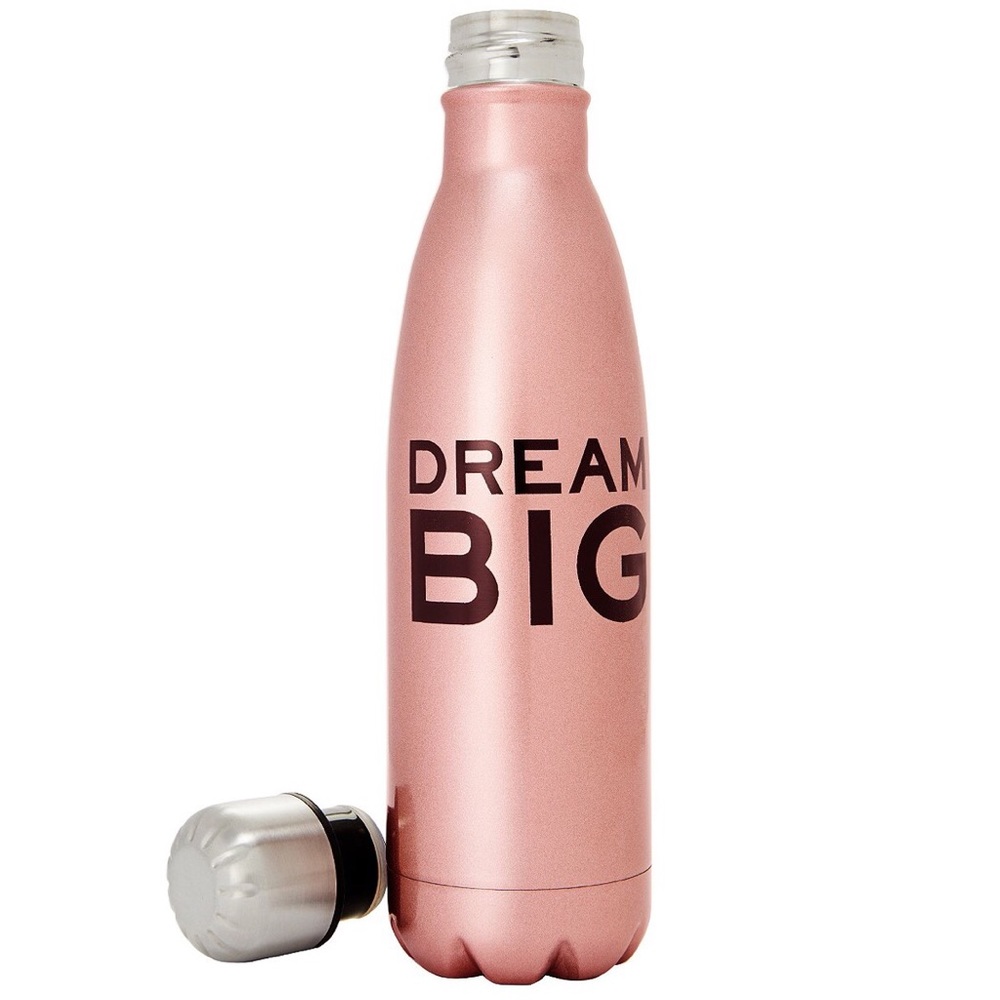 Inspirational Insulated Water Bottle Dream Big NEW